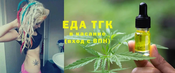 индика Богородск
