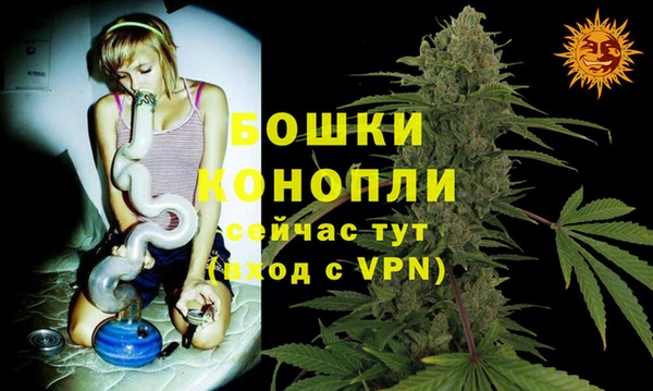 индика Богородск
