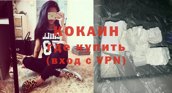 индика Богородск