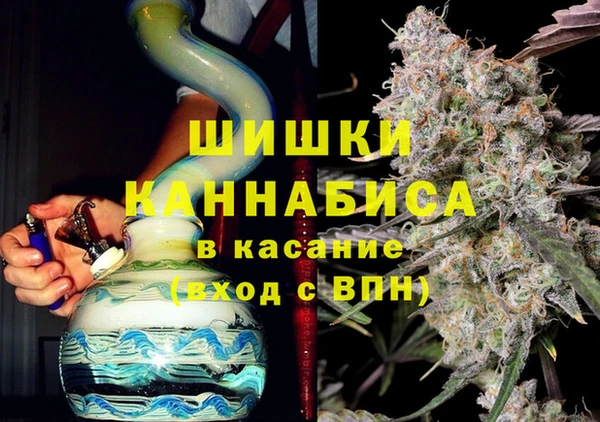 индика Богородск