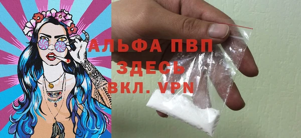 индика Богородск