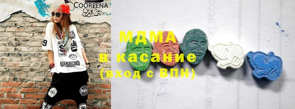 индика Богородск