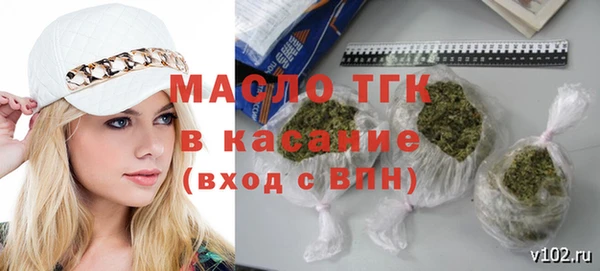 индика Богородск