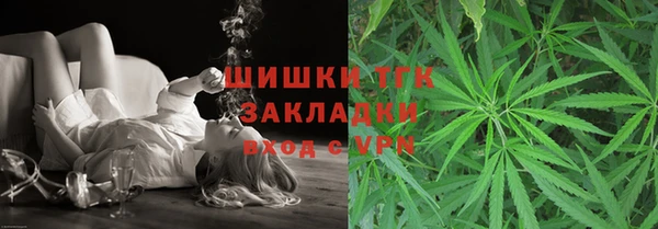 индика Богородск